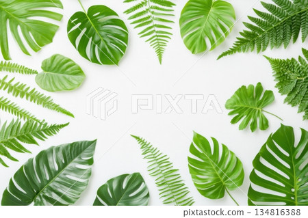 Minimalist botanical flat lay featuring monstera and fern leaves on white linen background with gentle shadows enhancing texture Minimalist botanical flat lay featuring monstera and fern leaves on white linen background with gentle shadows enhancing texture 134816388