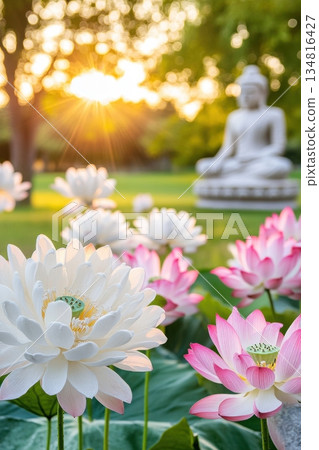 Intricately carved stone Buddha statue surrounded by blooming lotus flowers in a tranquil garden at sunrise Intricately carved stone Buddha statue surrounded by blooming lotus flowers in a tranquil garden at sunrise 134816427