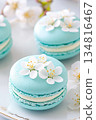 Gourmet turquoise macaron with floral decorations on elegant porcelain plate in soft lighting 134816467