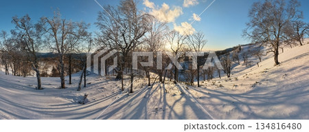 莫科託山口的日落和結霜的樹木 莫科託山口的日落和結霜的樹木 134816480