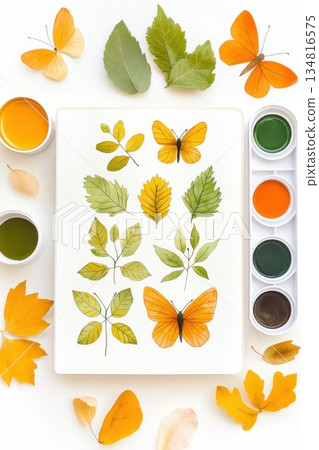 Creative flat lay featuring botanical illustrations, pressed leaves, watercolor paints, and hand-drawn butterflies on a white background 134816575