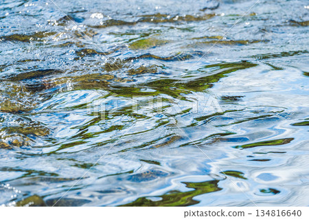 Close-up of a river flowing in the soft autumn sunlight 02 Close-up of a river flowing in the soft autumn sunlight 02 134816640