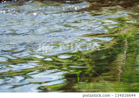 Close-up of a river flowing in the soft autumn sunlight 06 Close-up of a river flowing in the soft autumn sunlight 06 134816644