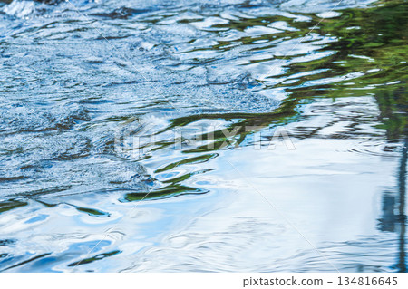 Close-up of a river flowing in the soft autumn sunlight 07 Close-up of a river flowing in the soft autumn sunlight 07 134816645