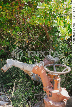 Water supply or irrigation system for an olive field in Crete, shut-off valve with a handwheel 134817419