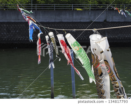 Carp streamers at Sakai River in Urayasu City, Chiba Prefecture 134817793