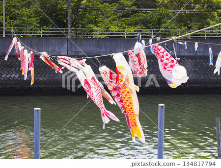 Carp streamers at Sakai River in Urayasu City, Chiba Prefecture 134817794