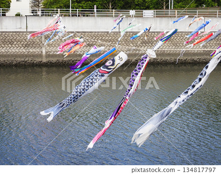 Carp streamers at Sakai River in Urayasu City, Chiba Prefecture Carp streamers at Sakai River in Urayasu City, Chiba Prefecture 134817797