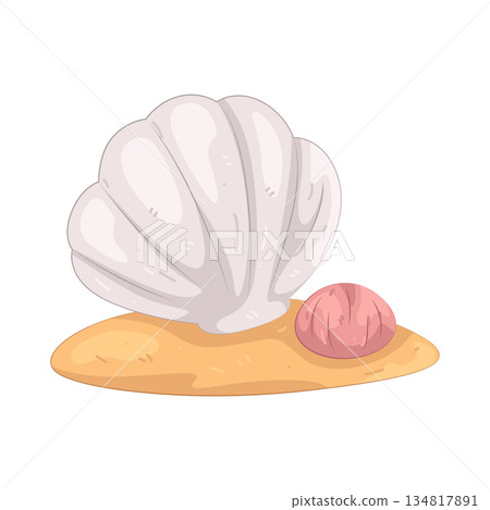 Illustration of shell Illustration of shell 134817891