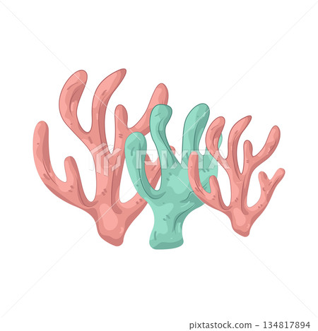 Illustration of coral reef  134817894
