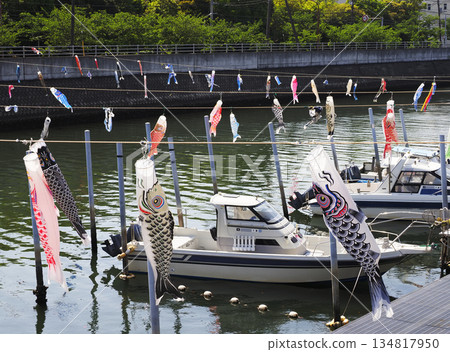 Carp streamers at Sakai River in Urayasu City, Chiba Prefecture 134817950