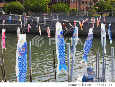 Carp streamers at Sakai River in Urayasu City, Chiba Prefecture 134817953