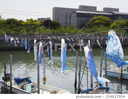 千葉縣浦安市堺川的鯉魚擬餌 134817954