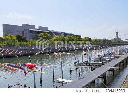 Carp streamers at Sakai River in Urayasu City, Chiba Prefecture 134817955