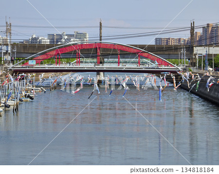 Carp streamers at Sakai River in Urayasu City, Chiba Prefecture 134818184