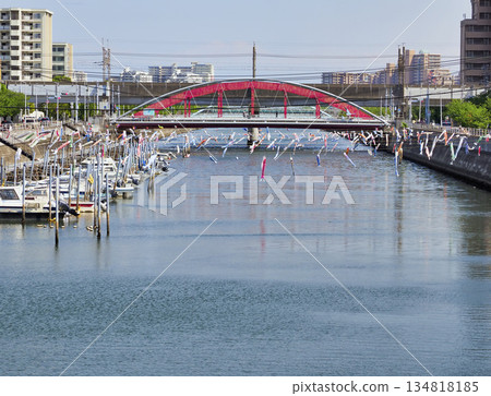 千葉縣浦安市堺川的鯉魚擬餌 千葉縣浦安市堺川的鯉魚擬餌 134818185