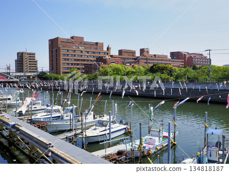 Carp streamers at Sakai River in Urayasu City, Chiba Prefecture 134818187