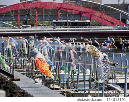 Carp streamers at Sakai River in Urayasu City, Chiba Prefecture 134818191