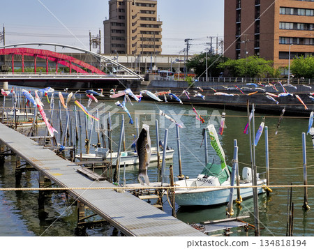 Carp streamers at Sakai River in Urayasu City, Chiba Prefecture 134818194