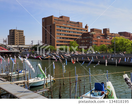 Carp streamers at Sakai River in Urayasu City, Chiba Prefecture 134818195
