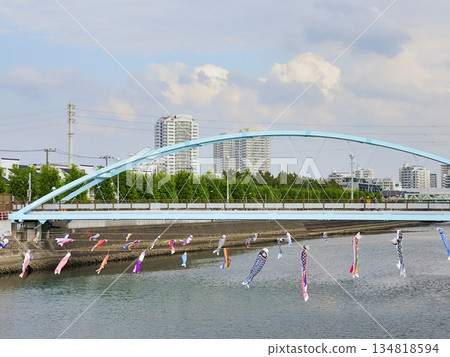 Carp streamers at Sakai River in Urayasu City, Chiba Prefecture 134818594