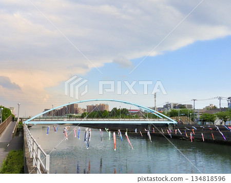 Carp streamers at Sakai River in Urayasu City, Chiba Prefecture 134818596