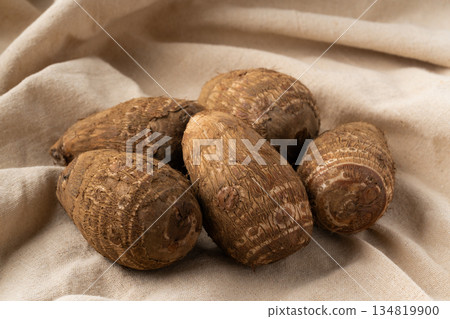 土下太郎（Taro）放在布上 134819900