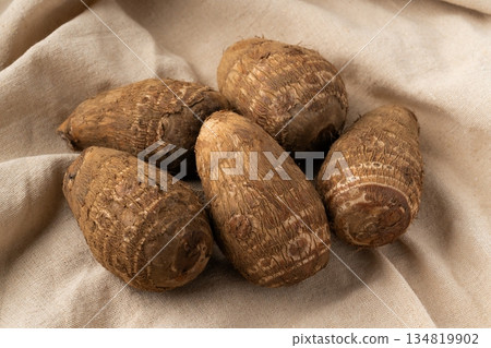 土下太郎（Taro）放在布上 134819902