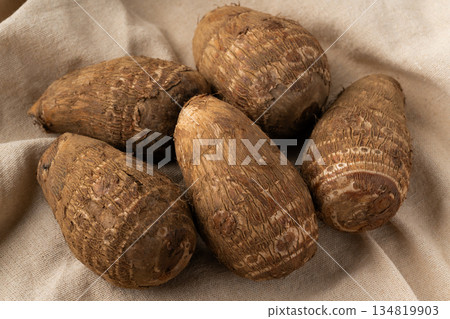 土下太郎(Taro)放在布上 土下太郎(Taro)放在布上 134819903