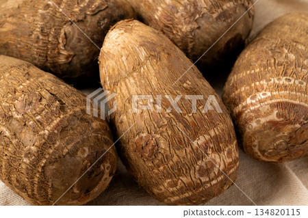 Close-up of taro (Tsuchita) Close-up of taro (Tsuchita) 134820115