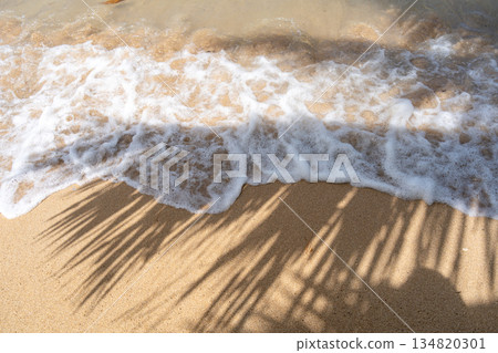 Palm tree shadow on Anaho Beach, Nuku Hiva, French Polynesia 134820301