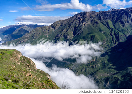 Colca Canyon with a clear blue sky, Peru 134820303
