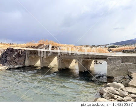 A winter scene of a submerged bridge and dead grass on the riverside 134820587