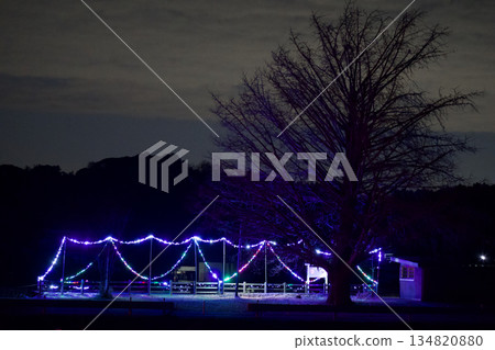 Local train station at Christmas 134820880