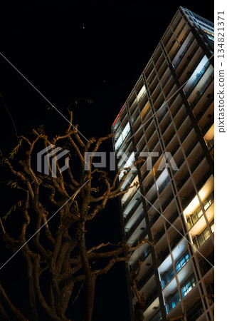 High-rise apartment buildings and winter trees towering against the city's night sky High-rise apartment buildings and winter trees towering against the city's night sky 134821371