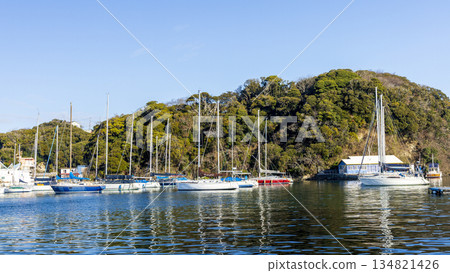 Winter in Koashiro Bay Winter in Koashiro Bay 134821426