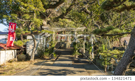 白須神社(小次郎森林的守護神) 白須神社(小次郎森林的守護神) 134821471