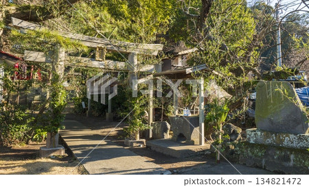 Shirahige Shrine (Guardian deity of Koajiro Forest) 134821472