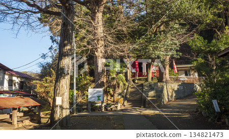 白須神社(小次郎森林的守護神) 白須神社(小次郎森林的守護神) 134821473