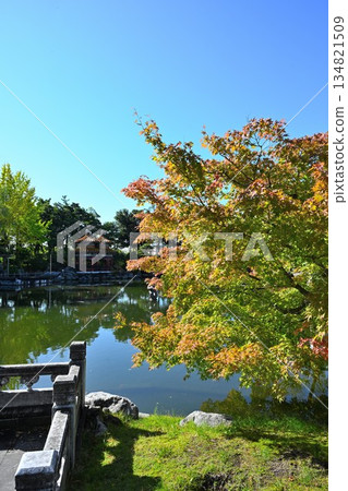 天壽園(新潟縣新潟市)中國園林的秋景 天壽園(新潟縣新潟市)中國園林的秋景 134821509
