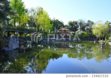 天壽園（新潟縣新潟市）中國園林的秋景 134821510