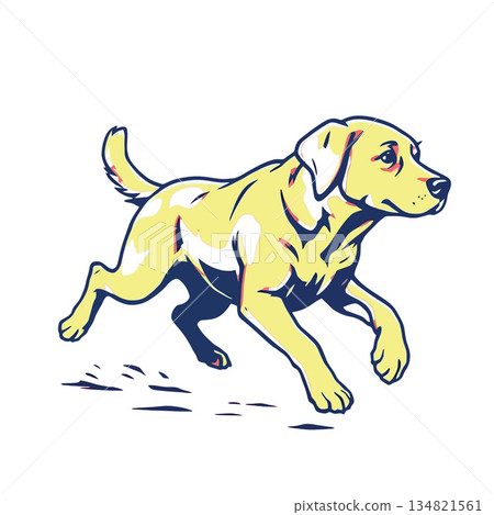 Vsai yellow labrador retriever dog running illustration art Vsai yellow labrador retriever dog running illustration art 134821561