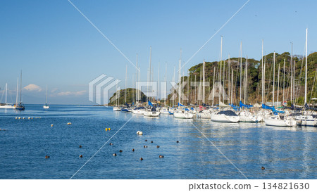 遊艇碼頭在藍天的背景下熠熠生輝 134821630