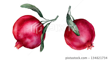 Set of Pomegranate Fruit Branches. Hand drawn watercolor illustration of red tropical Food on white isolated background. Drawing of pink red pomegranate tree with leaves. Sketch of juicy for menu. Set of Pomegranate Fruit Branches. Hand drawn watercolor illustration of red tropical Food on white isolated background. Drawing of pink red pomegranate tree with leaves. Sketch of juicy for menu. 134821734