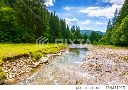 landscape with mountains, forest and a river in front. beautiful scenery in summer on a sunny day. water flowing through synevyr national park. natural background for ecology and sustainability landscape with mountains, forest and a river in front. beautiful scenery in summer on a sunny day. water flowing through synevyr national park. natural background for ecology and sustainability 134821915