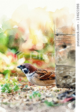 療癒麻雀 精緻手繪水彩手機桌布 療癒麻雀 精緻手繪水彩手機桌布 134821998