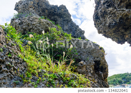 Scenery that evokes the rich nature and culture of the tropics found in Okinawa Scenery that evokes the rich nature and culture of the tropics found in Okinawa 134822041