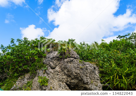 Scenery that evokes the rich nature and culture of the tropics found in Okinawa 134822043