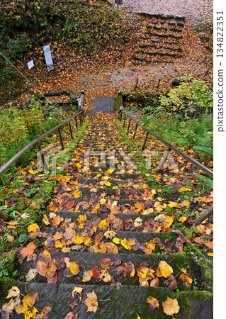長岡市栃尾森林的秋葉景色（新潟縣長岡市栃尾） 134822351