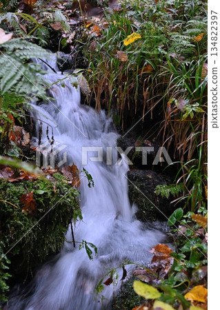 Autumn foliage scenery in Tochio Forest, Nagaoka City (Tochio, Nagaoka City, Niigata Prefecture) Autumn foliage scenery in Tochio Forest, Nagaoka City (Tochio, Nagaoka City, Niigata Prefecture) 134822397